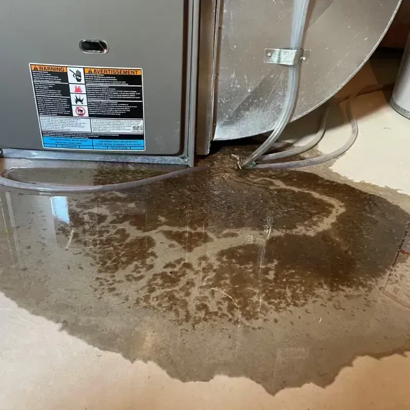 Appliance Leak Cleanup in Moore County, TN